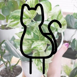 cat graphic outline over a picture of a plant