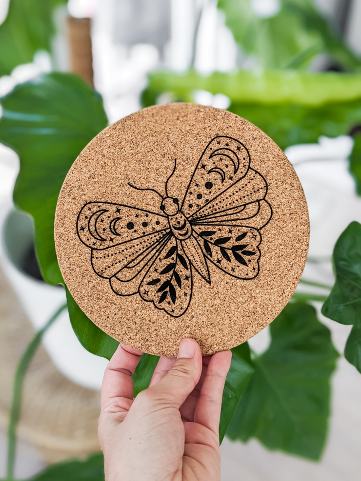 Engraved cork coaster with a moth on it