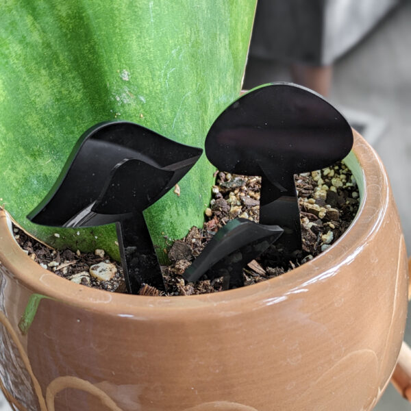 black acrylic mushroom plant stakes