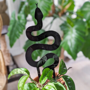 black snake houseplant trellis