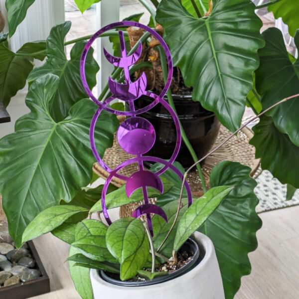 moon phases purple houseplant trellis