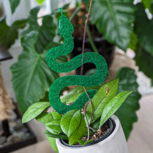green snake houseplant trellis