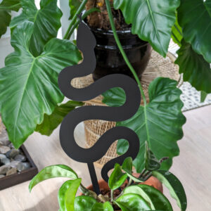 snake houseplant trellis